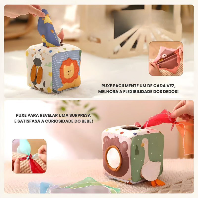 Kit Sensorial Baby Discover